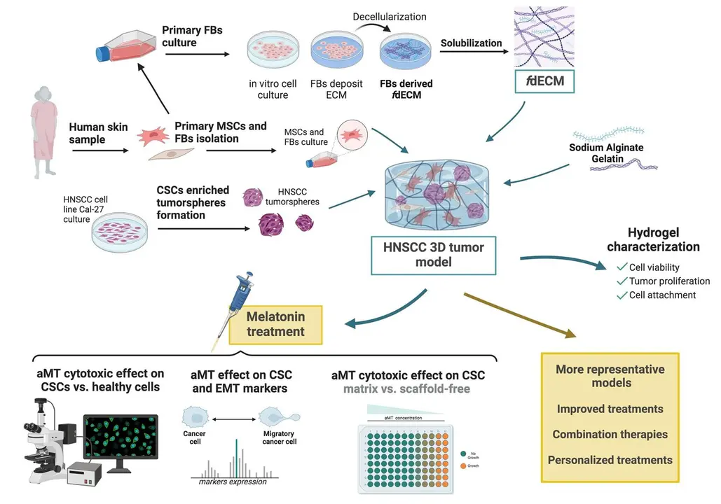 Cient&iacute;ficos desarrollan modelos 3D de tumores para poner a prueba tratamientos y f&aacute;rmacos contra el c&aacute;ncer / Universidad de Granada