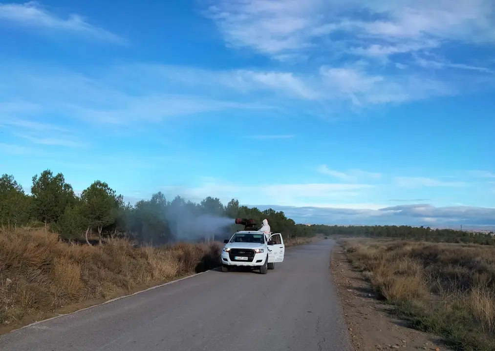 Tratamiento preventivo contra la procesionaria en Ejea. / AYTO. EJEA