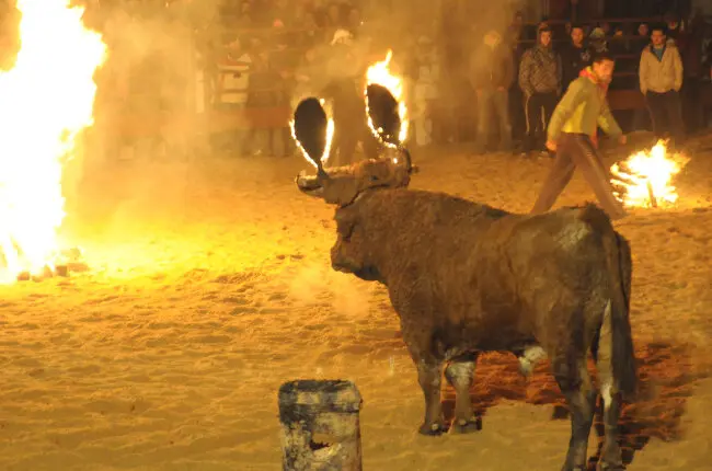 Celebraci&oacute;n del Toro de Fuego en Medinaceli.