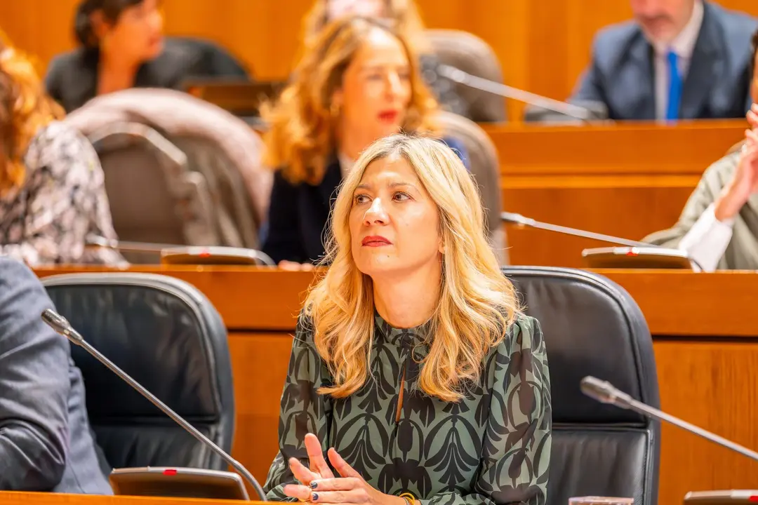 La vicepresidenta del Gobierno de Arag&oacute;n, Mar Vaquero, en el pleno de lunes