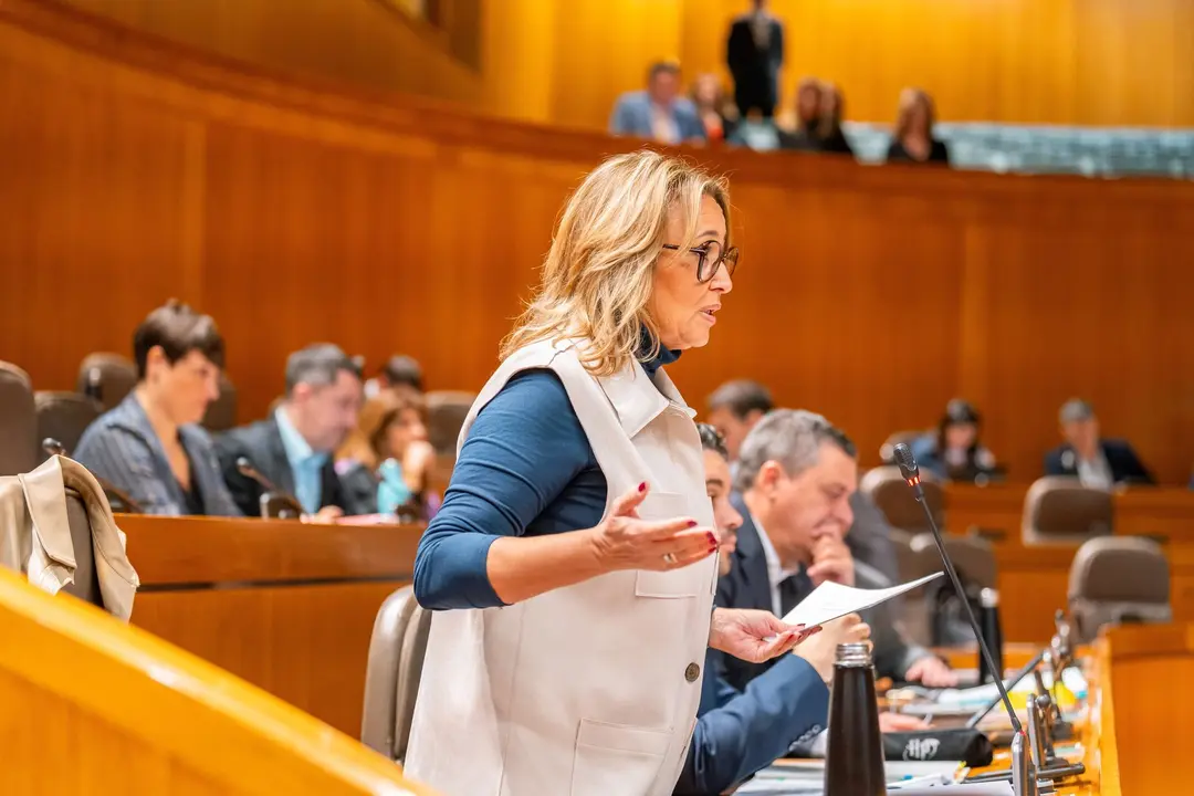 La portavoz socialista en el Parlamento, Mayte P&eacute;rez, este lunes