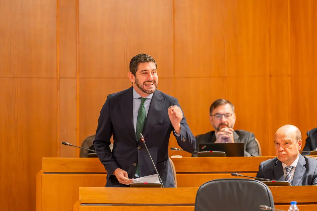 El portavoz de Vox en las Cortes, Alejandrom Nolasco, este lunes
