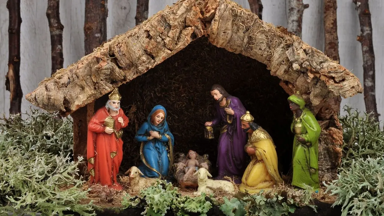 Lo que debes saber sobre la recolecci&oacute;n de plantas navide&ntilde;as protegidas