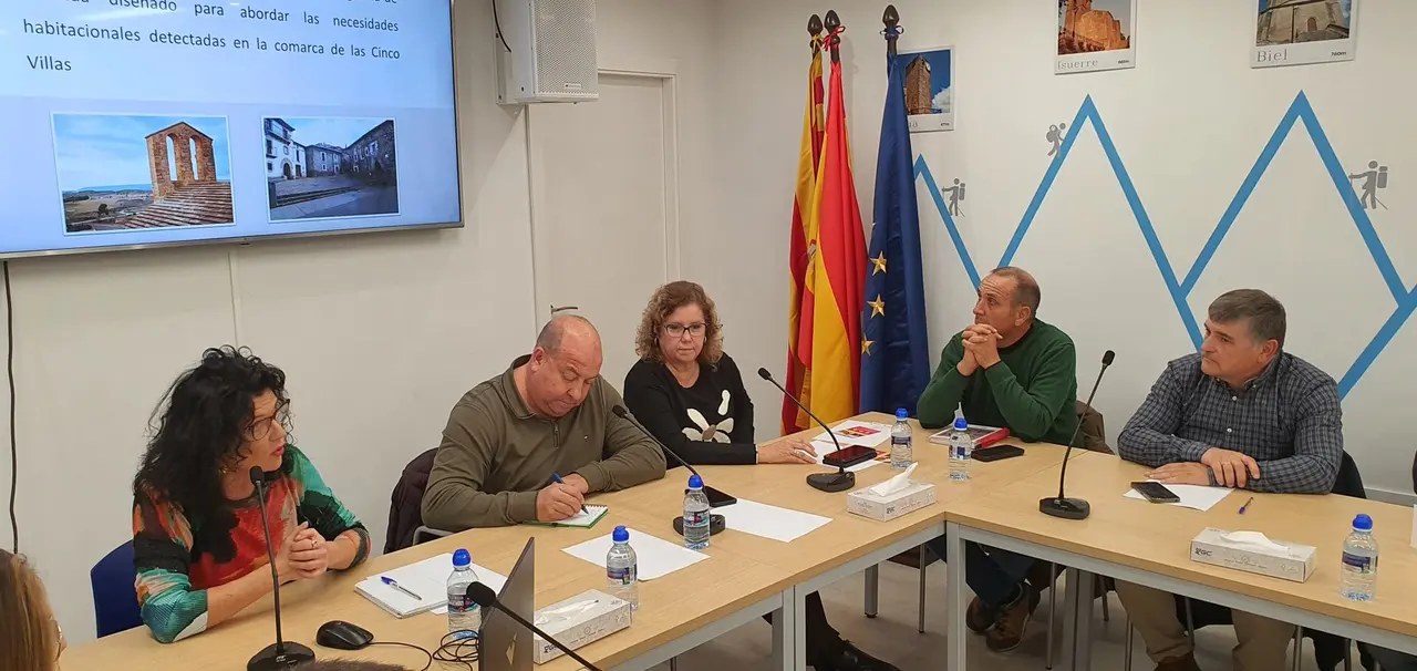 Presentaci&oacute;n del proyecto 'Vive Cinco Villas'.