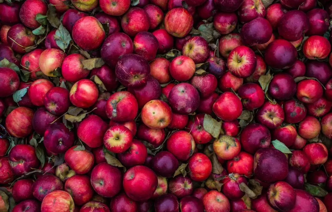 manzana
