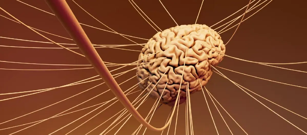 cerebro