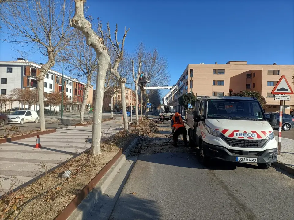 Trabajos en una zona ajardinada de Ejea de los Caballeros. / HA