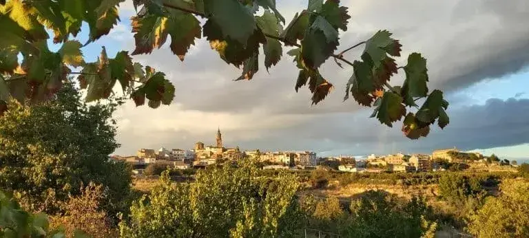 Panor&aacute;mica de Calanda. / HA