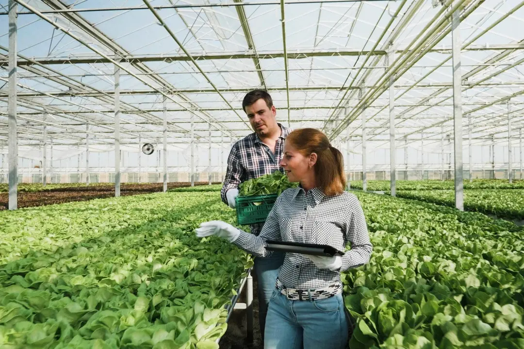 Imagen de archivo del uso de tecnolog&iacute;as en agricultura. / HA