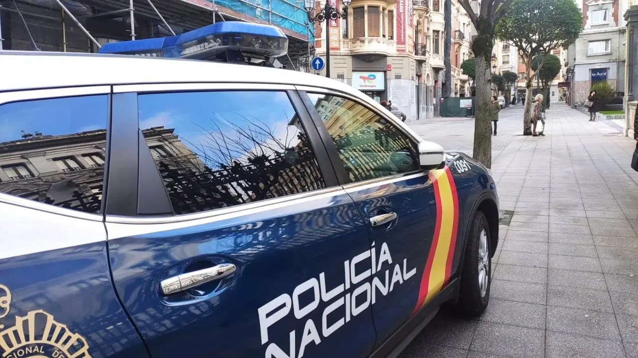 Coche de Polic&iacute;a Nacional / EP