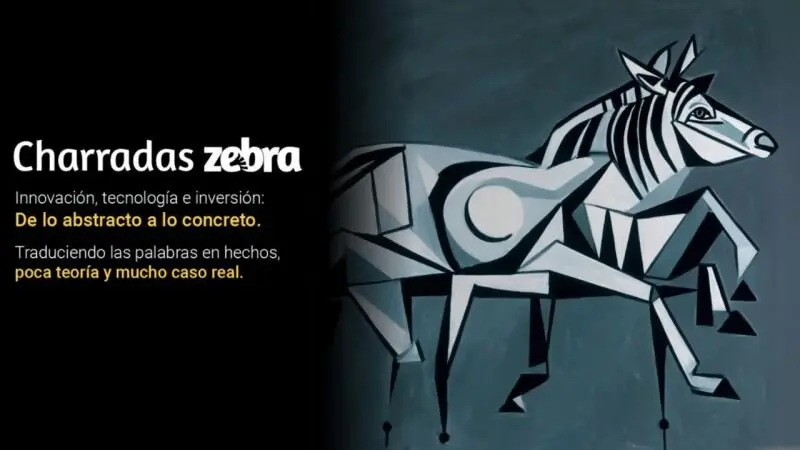 Charradas Zebra
