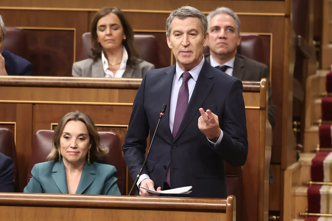 Alberto N&uacute;&eacute;z Feij&oacute;o en el Congreso de los Diputados
