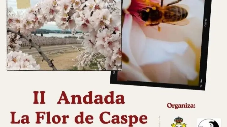 Cartel de la II andada popular La Flor de Caspe. / HA