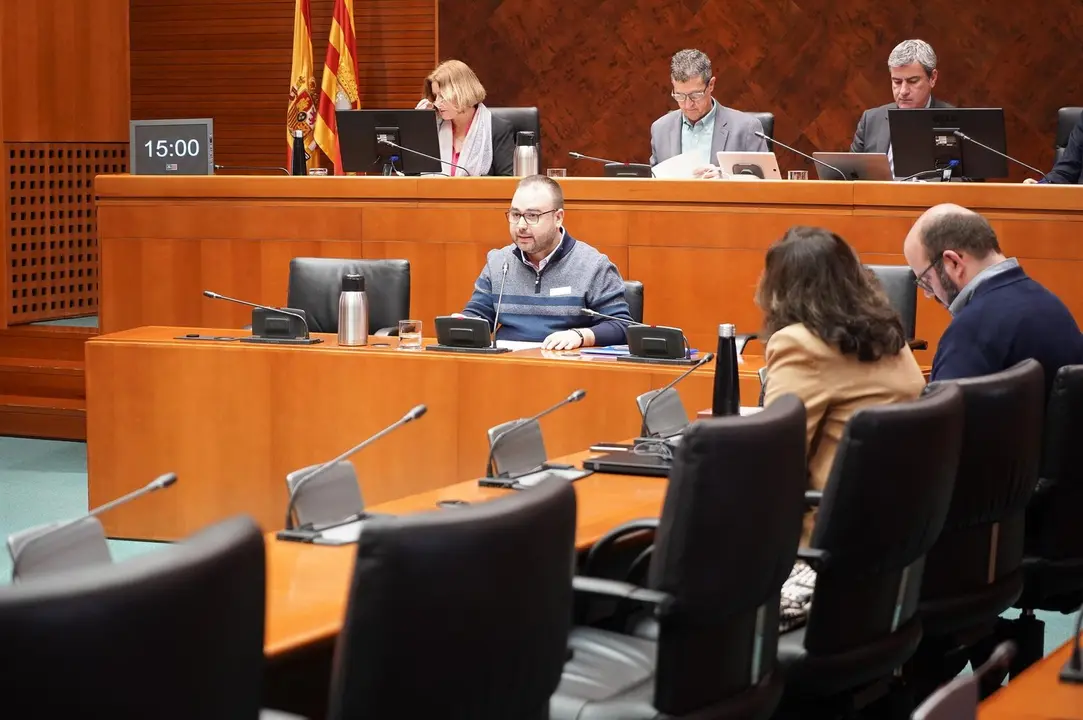 Jos&eacute; Ignacio Andr&eacute;s, alcalde de Pinseque, en su intervenci&oacute;n en las Cortes de Arag&oacute;n. / HA
