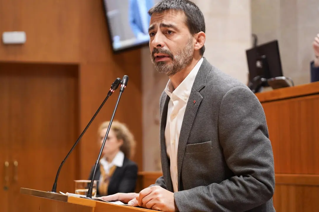 El diputado de IU, &Aacute;lvaro Sanz. - CORTES DE ARAG&Oacute;N. - Archivo