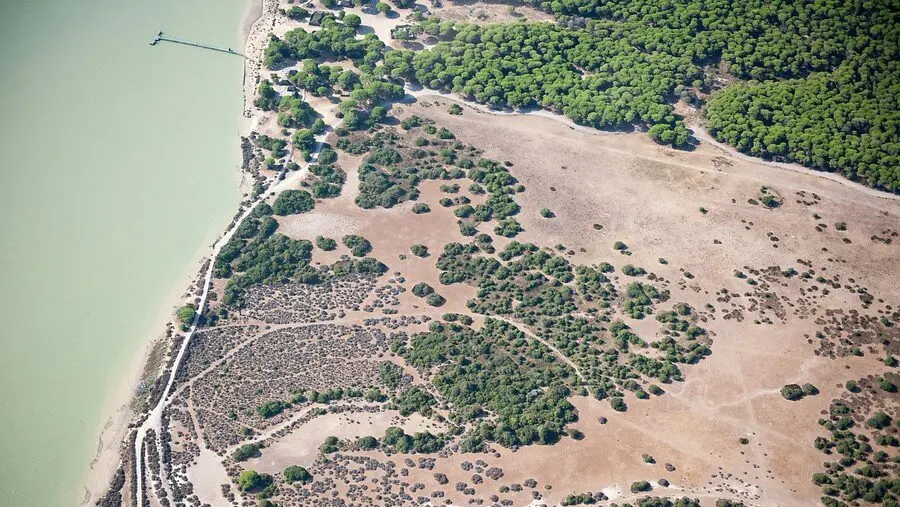 Parque Nacional Do&ntilde;ana / H&eacute;ctor Garrido