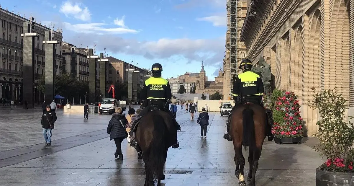 Plan con ni&ntilde;os en Zaragoza: puedes ir a ver las caballerizas de la Polic&iacute;a