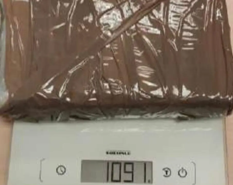 Imagen de parte de la droga incautada en la operaci&oacute;n en el narco piso de Zaragoza /Cedida a H.A.