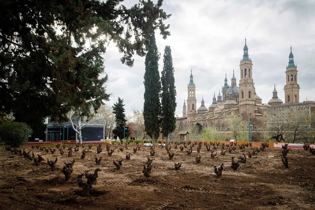 Jard&iacute;n de la Garnacha, en el parque de Macanaz.