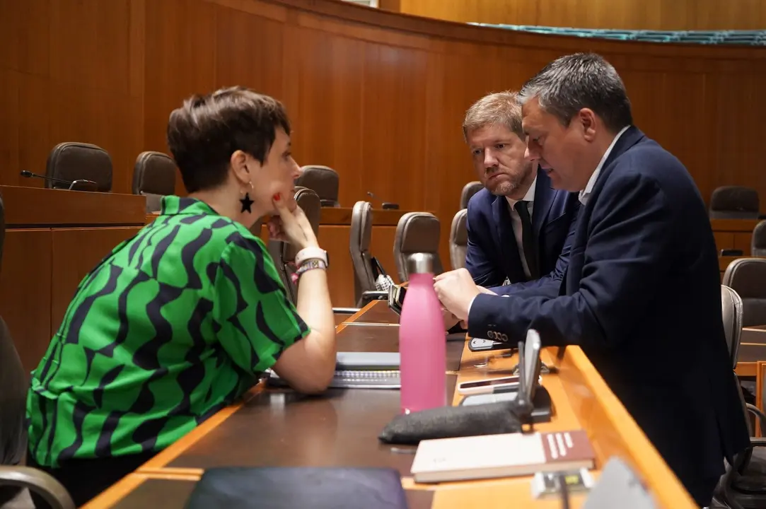 Leticia Soria, Fernando Sab&eacute;s y Marcelino Iglesias, del PSOE, en el pleno