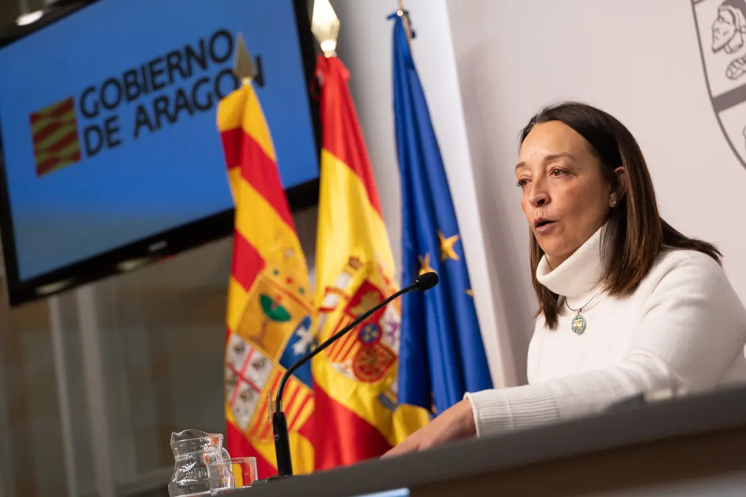 La consejera de Bienestar Social y Familia, Carmen Sus&iacute;n, en la sala de prensa del Pignatelli