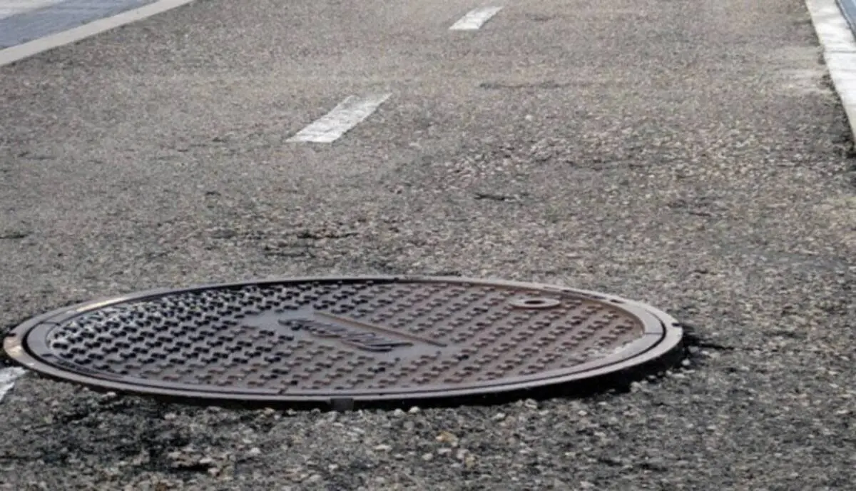 Las ratas crecen en las alcantarillas de Zaragoza: este es el plan para desratizar