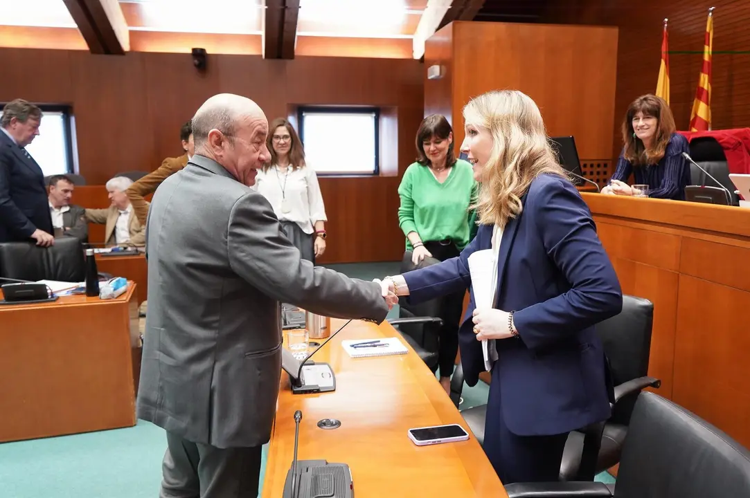 La directora de la oficina del Gobierno de Arag&oacute;n en Bruselas, Mar&iacute;a Palacios, saluda al diputado del PSOE Daniel Alastuey.