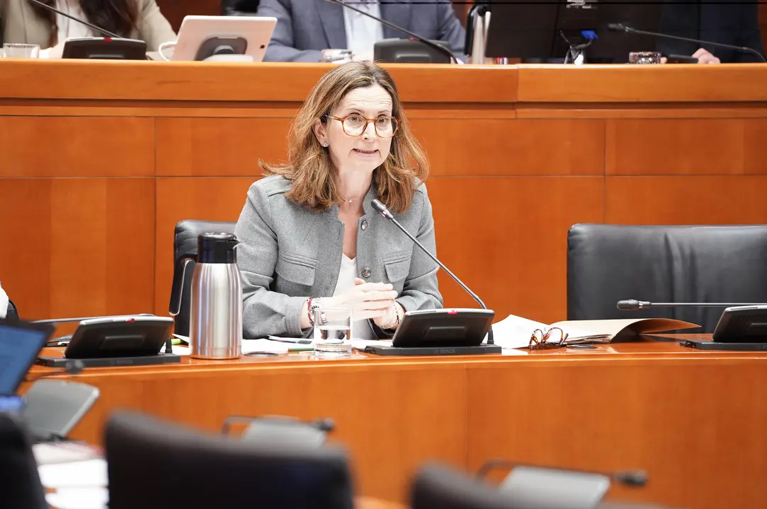 La directora general de Financiaci&oacute;n y Fondos Europeos del Gobierno de Arag&oacute;n, Isabel Mart&iacute;n-Retortillo./ Cortes