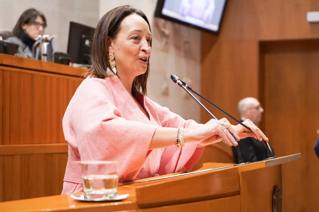 La consejera de Bienestar Social y Familia, Carmen Sus&iacute;n, en la Aljafer&iacute;a