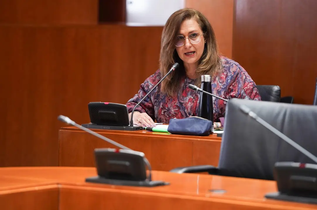 La diputada de Arag&oacute;n-Teruel Existe Pilar Buj. - CORTES DE ARAG&Oacute;N.