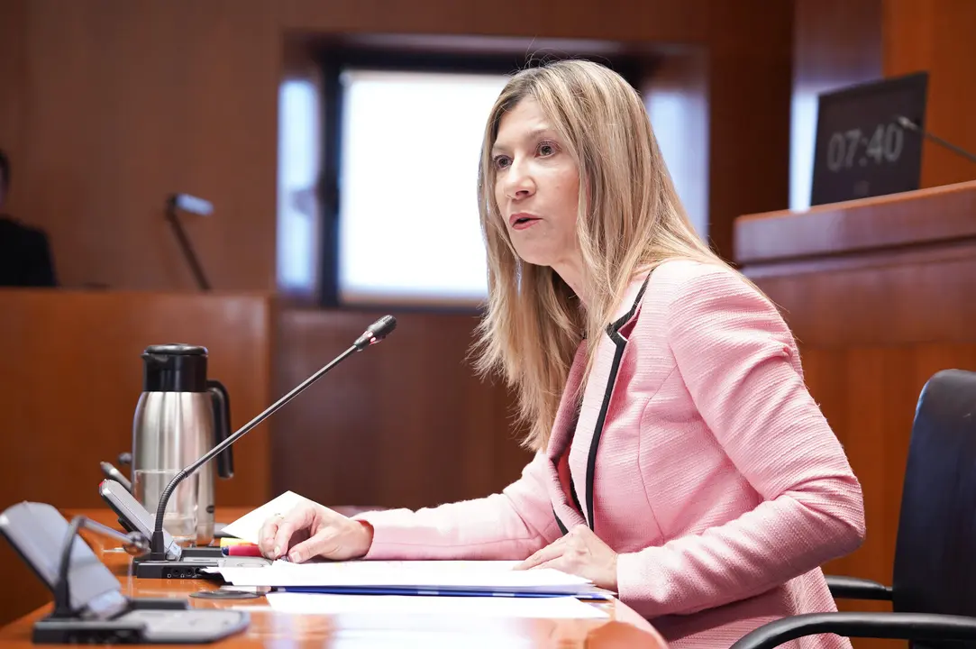 La vicepresidenta del Ejecutivo aragon&eacute;s, Mar Vaquero, en la Aljafer&iacute;a