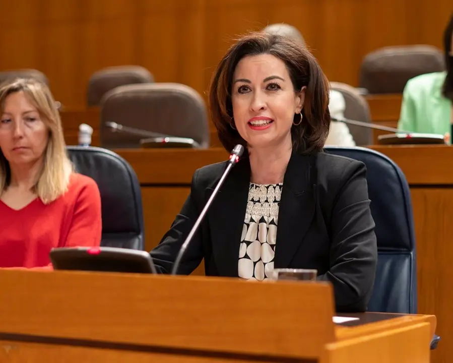 La vicepresidenta de la Diputaci&oacute;n de Zaragoza, Teresa Ladrero. - CORTES DE ARAG&Oacute;N.