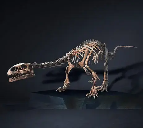 Dinosaurio.