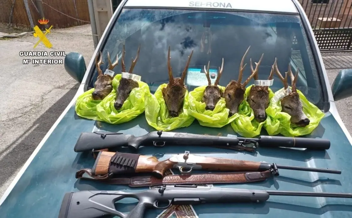 Pillados dos cazadores furtivos en Ordesa: ten&iacute;an 7 cabezas de corzo