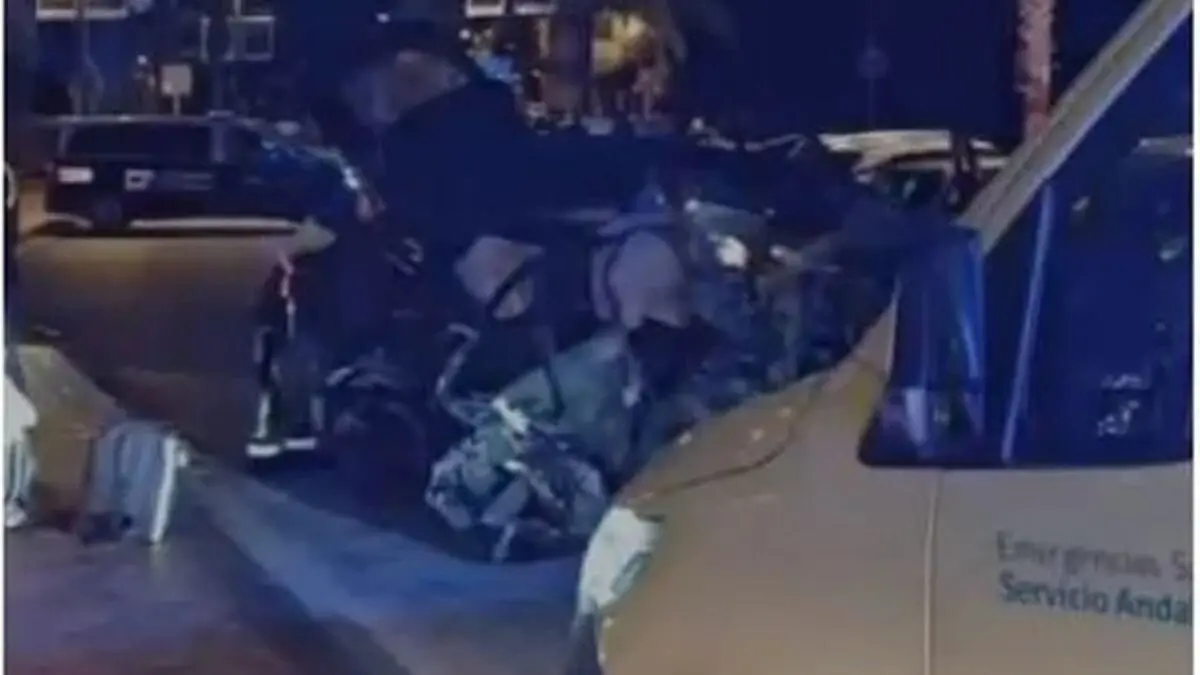 Imagen del accidente del paseo mar&iacute;timo de Fuengirola. / Fuengirola se queja