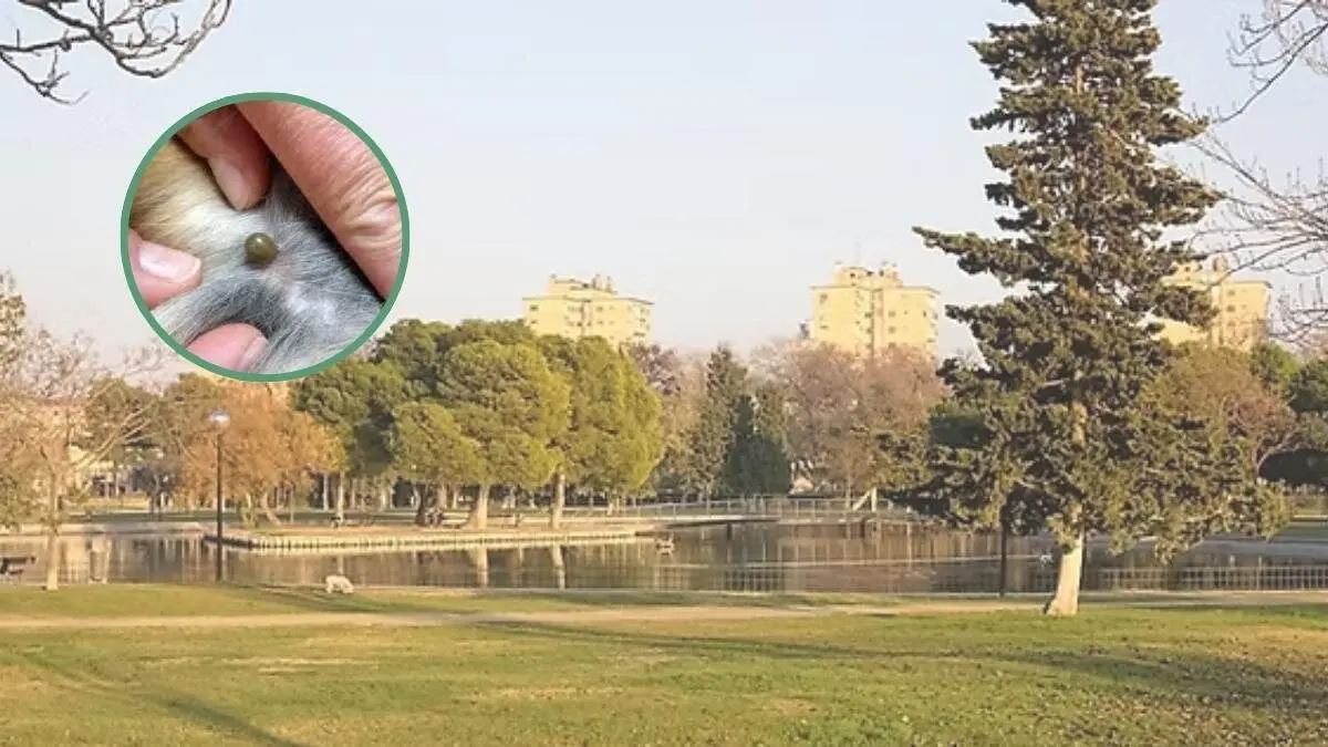 Los parques de Zaragoza que ser&aacute;n desinfectados