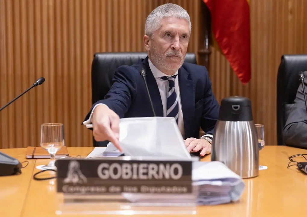 El ministro de Interior, Fernando Grande-Marlaska / EP
