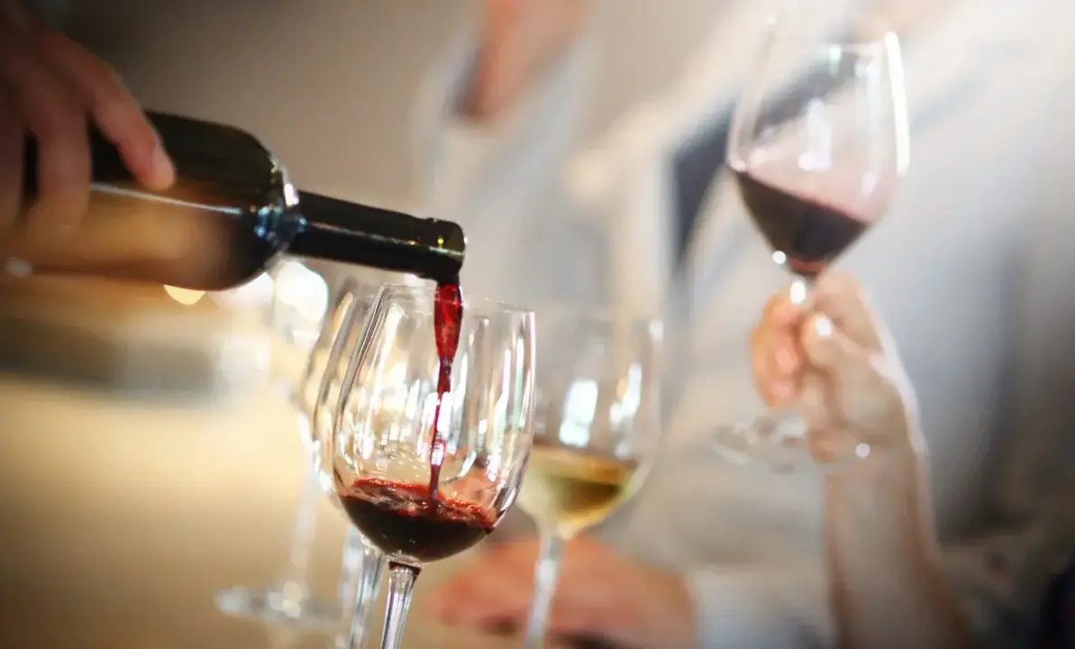 Curso &ldquo;Arag&oacute;n Alimentos de formaci&oacute;n en vinos&rdquo;