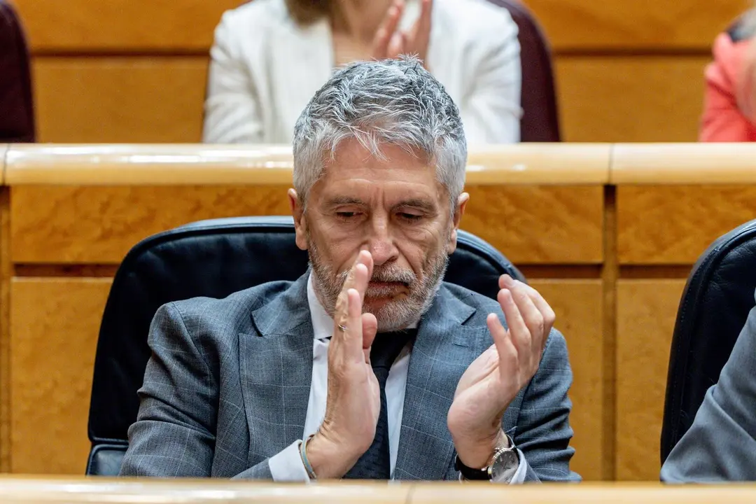 El ministro del Interior, Fernando Grande-Marlaska, durante una sesi&oacute;n de control al Gobierno en el Senado - Ricardo Rubio - Europa Press
