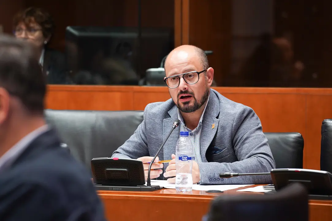 El diputado del PAR en las Cortes, Alberto Izquierdo