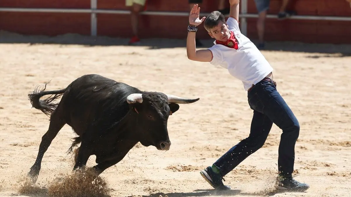 La plaza de toros que habr&aacute; en un barrio de Zaragoza: le llueven cr&iacute;ticas ./ EFE