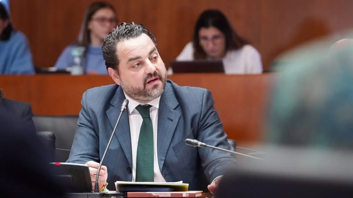 El diputado de Vox en las Cortes de Arag&oacute;n David Arranz. - VOX