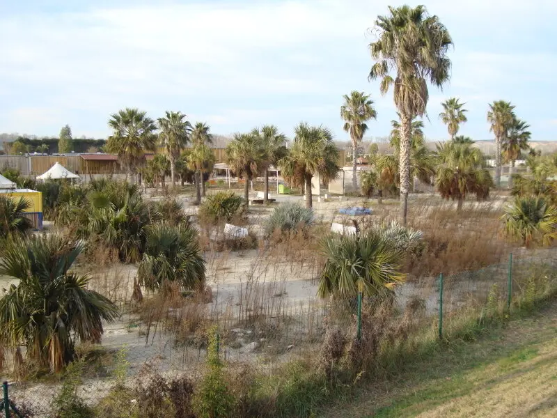 Parque_playas_2_2025_0001