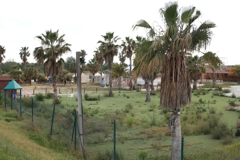 Parque_Playas_2025_00000013