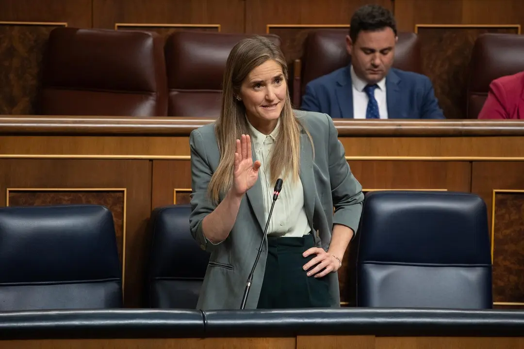 La vicepresidenta tercera y ministra para la Transici&oacute;n Ecol&oacute;gica, Sara Aagesen, interviene durante una sesi&oacute;n de control al Gobierno, en el Congreso de los Diputados, a 7 de mayo de 2025, en Madrid (Espa&ntilde;a). El presidente del Gobierno comparece en el Con - Alejandro Mart&iacute;nez V&eacute;lez - Europa Press