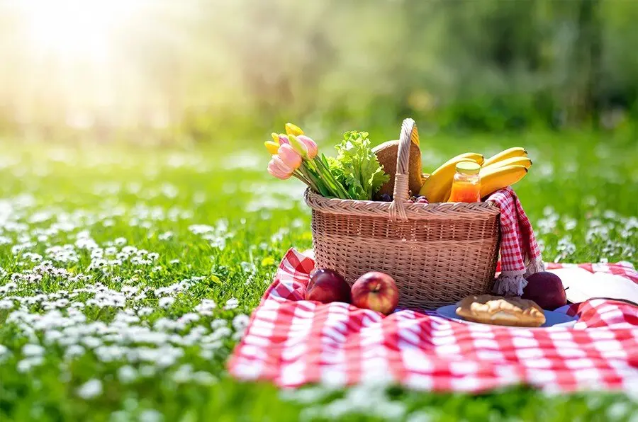 Picnic en primvera