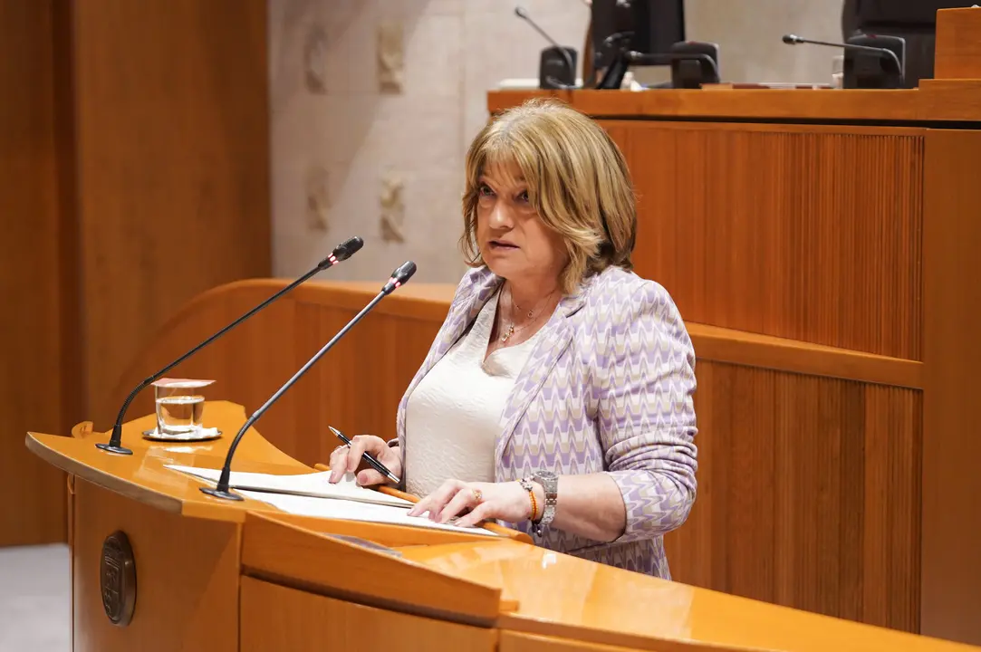 La consejera de Educaci&oacute;n, Tomasa Hern&aacute;ndez, en las Cortes
