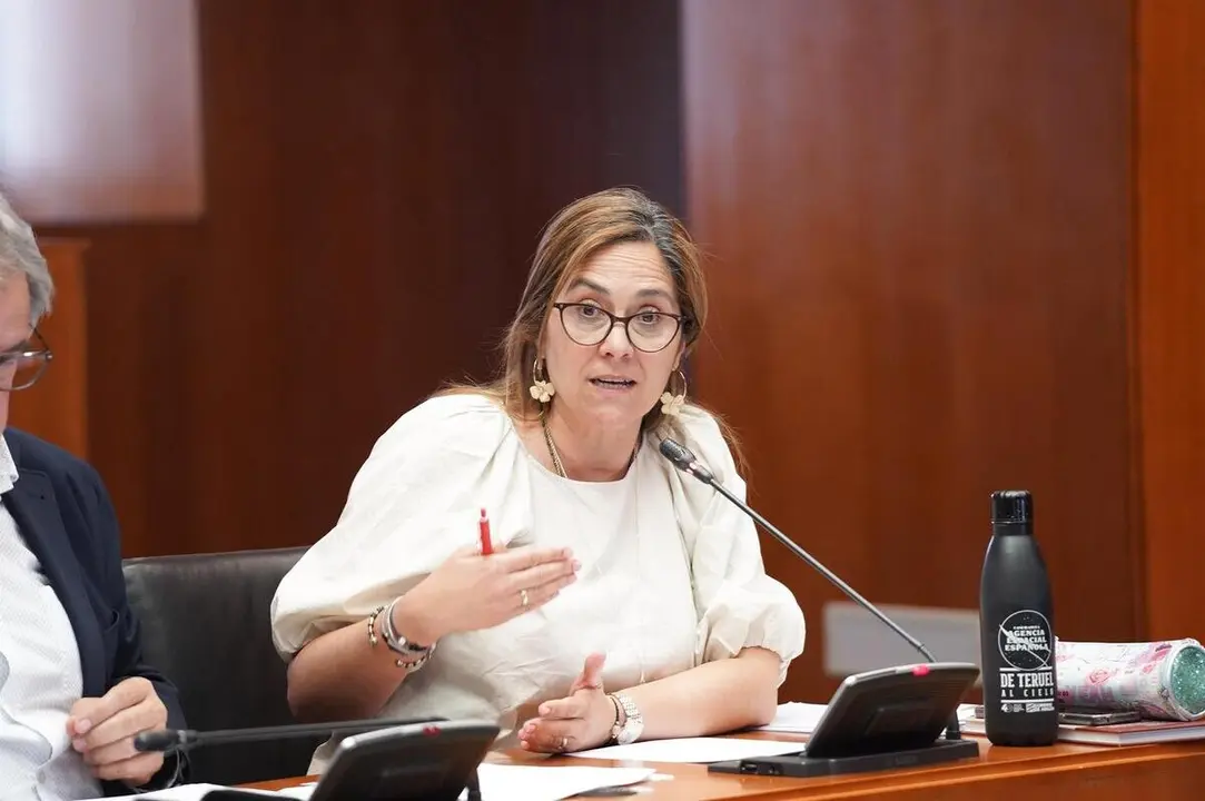 El Parlamento aragon&eacute;s reclama al Gobierno central moderniza la Atenci&oacute;n Primaria