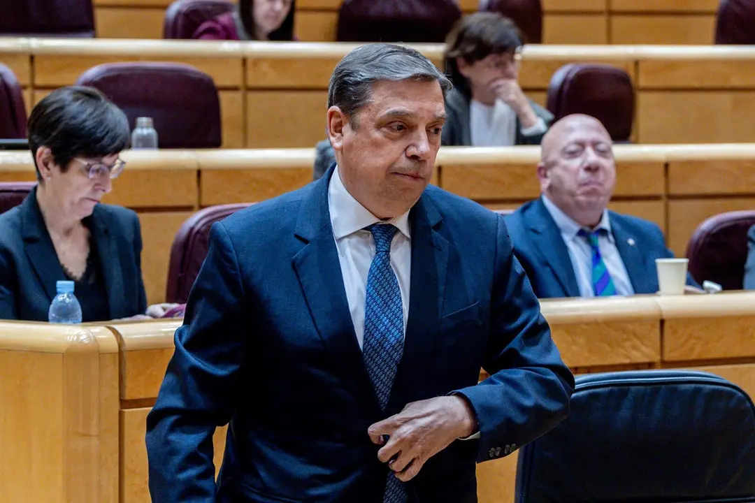 El ministro de Agricultura, Pesca y Alimentaci&oacute;n, Luis Planas. / EP