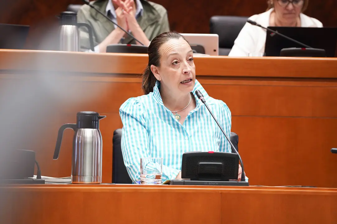 La consejera de Bienestar Social y Familia, Carmen Sus&iacute;n, en las Cortes